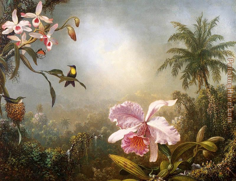 Orchids, Nesting Hummingbirds and a Butterfly painting - Martin Johnson Heade Orchids, Nesting Hummingbirds and a Butterfly art painting